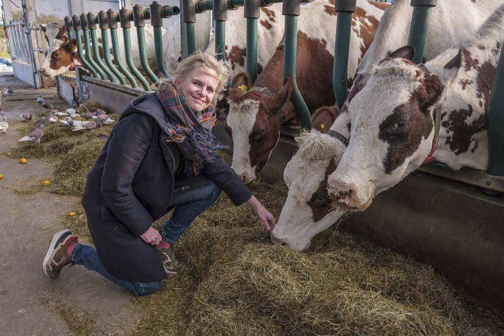 Cows in Rotterdam harbour, seedlings on rafts in India; are floating farms the future?